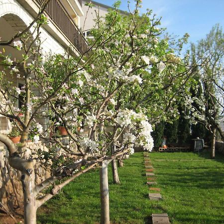 Apartmani Ivanka Prpic Senj  Εξωτερικό φωτογραφία